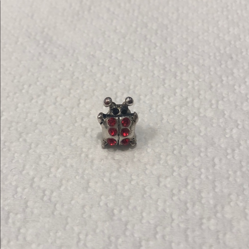 Lady bug charm